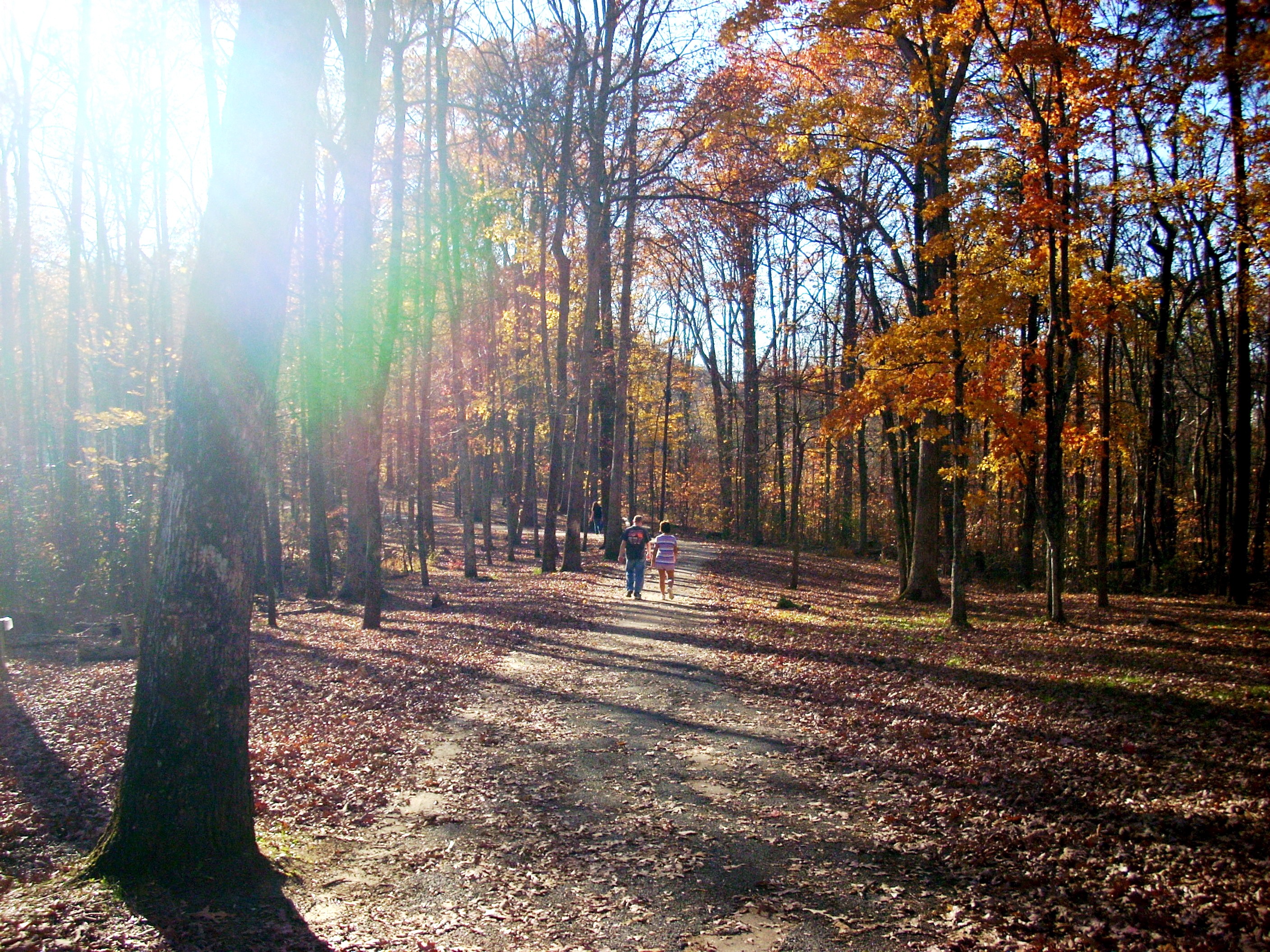 Indian Fort Mtn